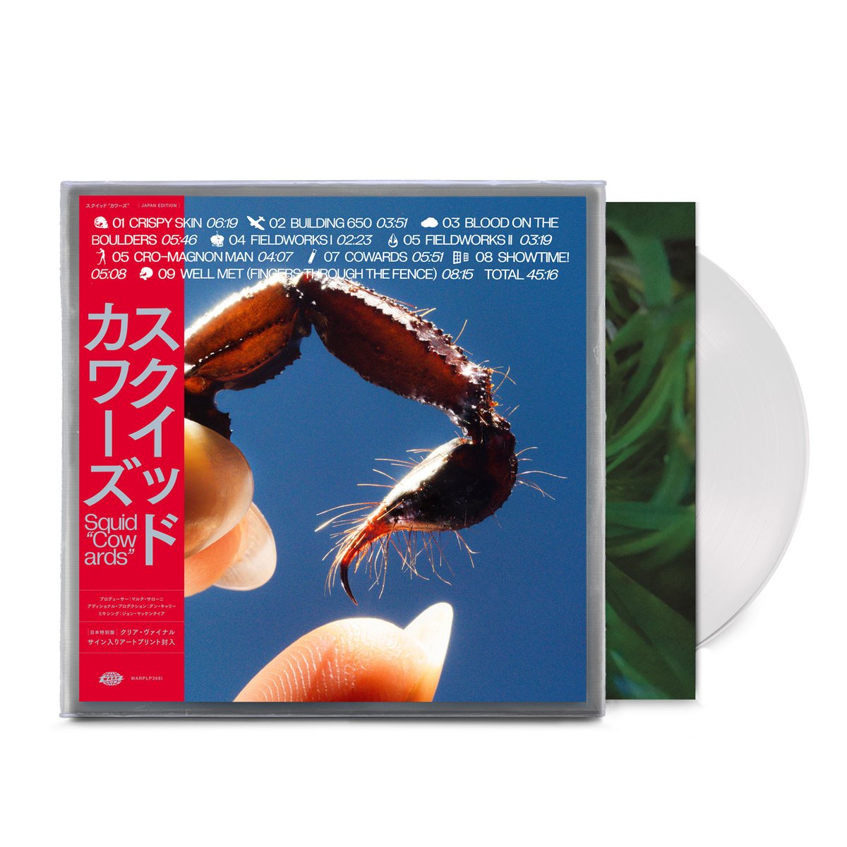 【BIG LOVE 限定盤】Squid Cowards レコード LP サイン付 スクイッド「カワーズ」 Squid 
