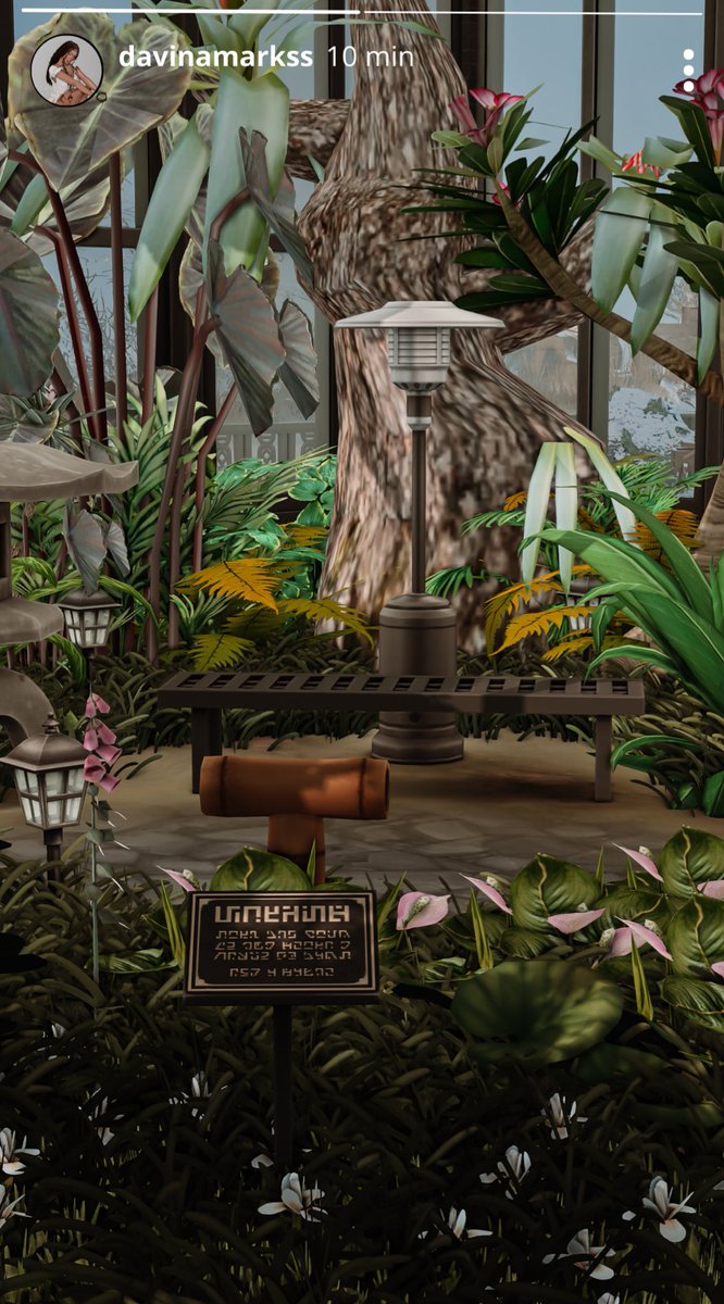 liyahsxpixels's tweet image. davina insta update ♡