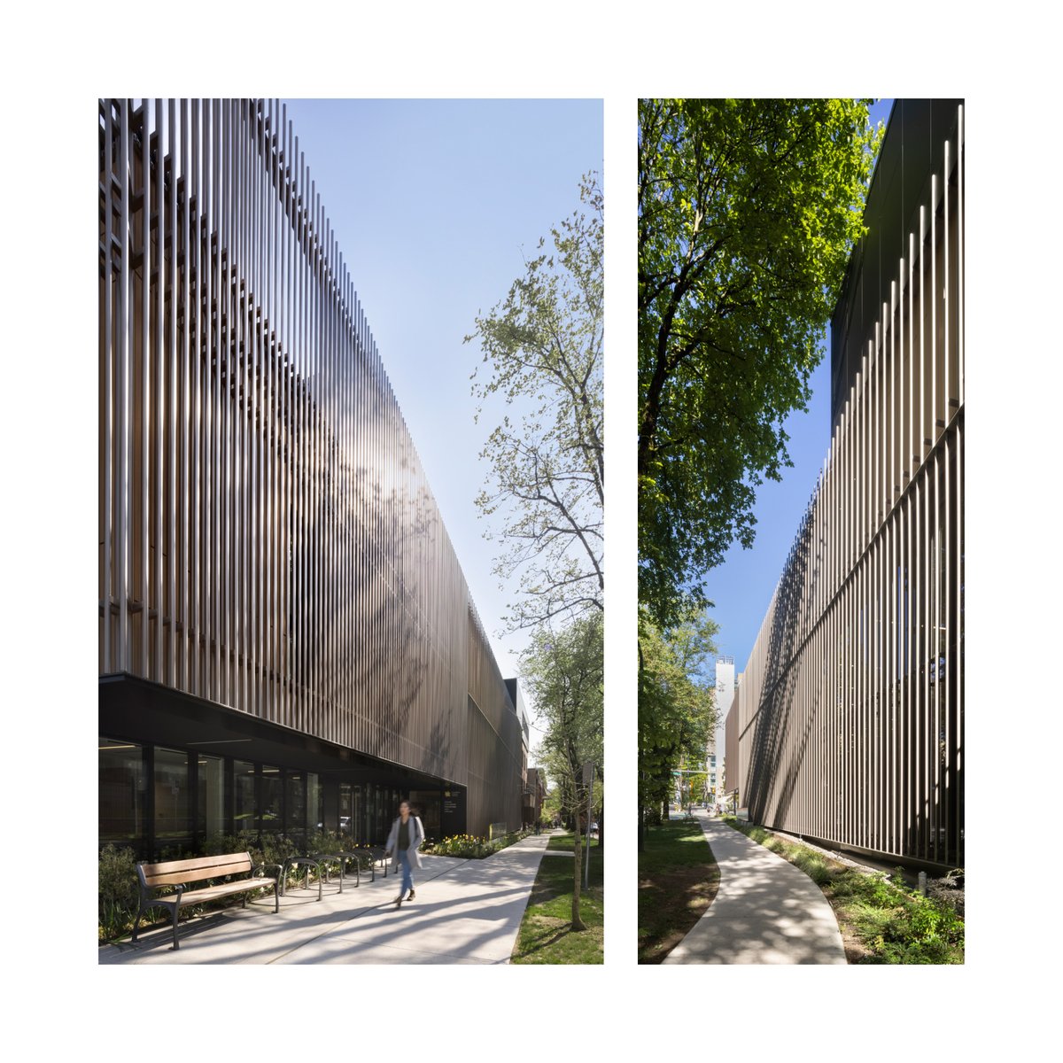 SHAPE Architecture tweet media