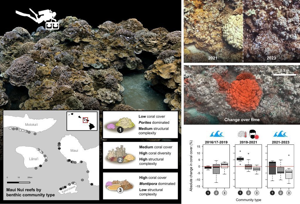Global Change Biology (@globalchangebio) on Twitter photo Using Community Composition and Successional Theory to Guide Site‐Specific #CoralReef Management
📄 buff.ly/3EcTPp1
<a href="/OrionMcCarthy/">Orion McCarthy</a> <a href="/Scripps_Ocean/">Scripps Institution of Oceanography</a> <a href="/SmithCoralReef/">Jennifer Smith</a> <a href="/100islchallenge/">100 Island Challenge</a> Using Community Composition and Successional Theory to Guide Site‐Specific #CoralReef Management
📄 buff.ly/3EcTPp1
<a href="/OrionMcCarthy/">Orion McCarthy</a> <a href="/Scripps_Ocean/">Scripps Institution of Oceanography</a> <a href="/SmithCoralReef/">Jennifer Smith</a> <a href="/100islchallenge/">100 Island Challenge</a>