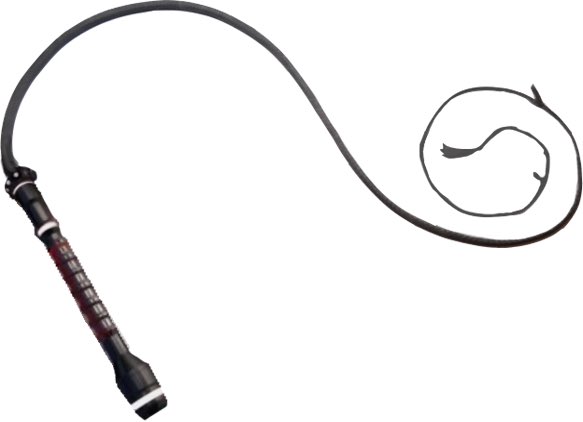 WWHS BARSTOOL tweet media