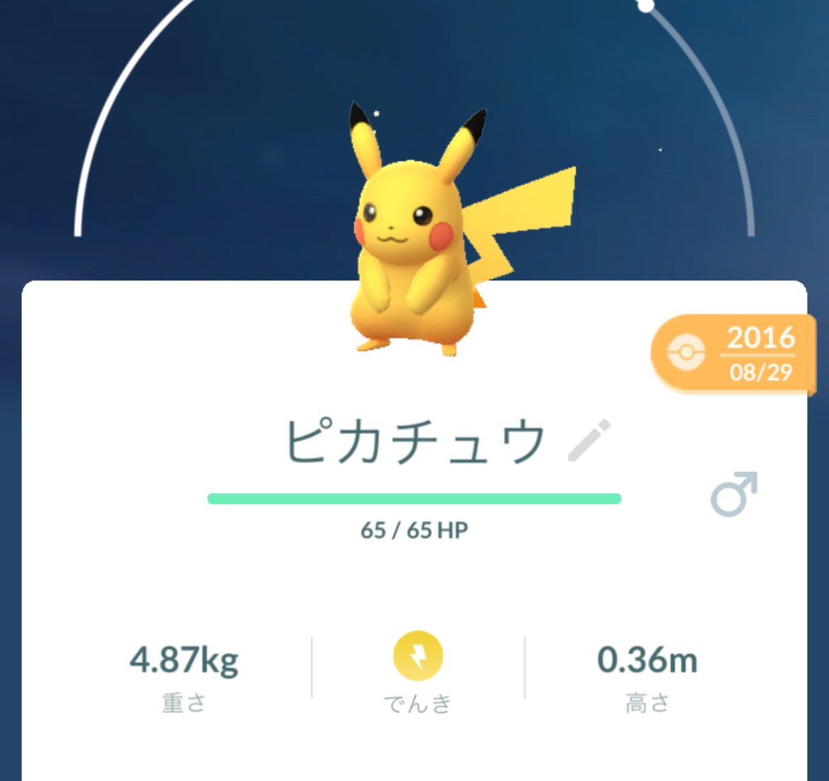 LPPUpokemon's tweet photo. 『ポケカレンダー』
2/5という事で本日は図鑑番号25番

25番はピカチュウです！

世界的なキャラクターである #ピカチュウの日 です！
各媒体で大活躍のピカチュウを本日はお祝いしましょう🥂

リプライにも皆さんの自慢のピカチュウ画像載せて下さい！

#ポケモン　#ピカチュウ https://t.co/6XW82XTVYh