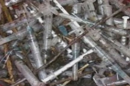 Animal Crossing Facts tweet media