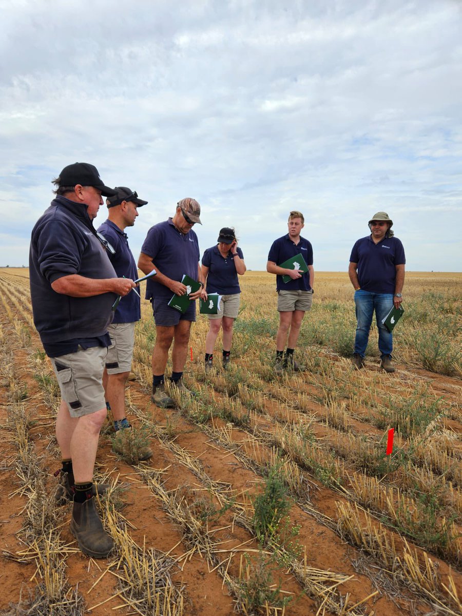 spraytec_aus's tweet photo. Thrilled to share independent results assessing the efficacy of our all-year-round drivers, #FULLTEC and #FULLTECMAX in glufosinate-based mixes.
💦 Improved glufosinate efficacy
💡 Commercially acceptable control
🧪 Cost-effective alternatives
Data proven performance, always. https://t.co/eItgZ0RTaz