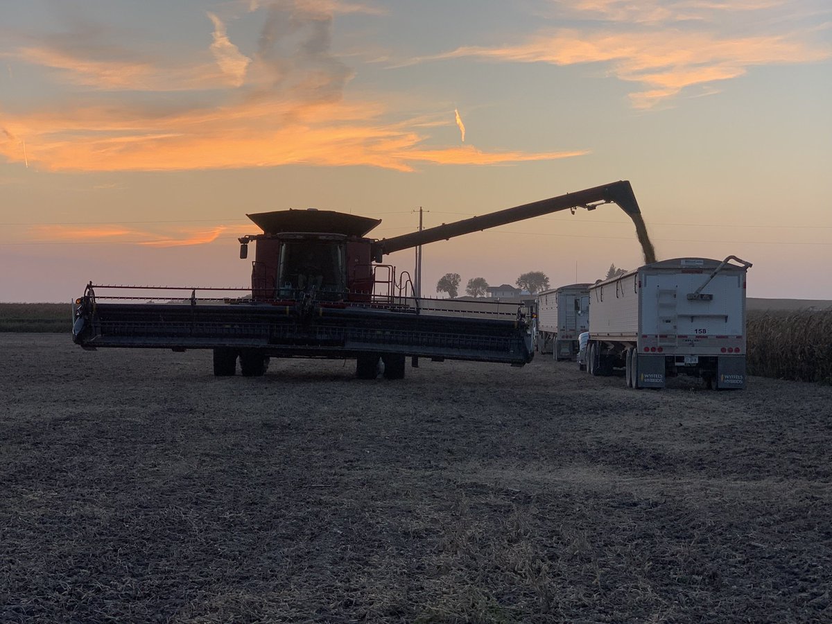 farminmostly's tweet image. If you or someone you know would be interested in farm work let me know!  We are looking for someone to help with field work, trucking, and maintenance.If you can’t go more than eight minutes without making a tictok or snap chat this job is not for you!Housing available close by.