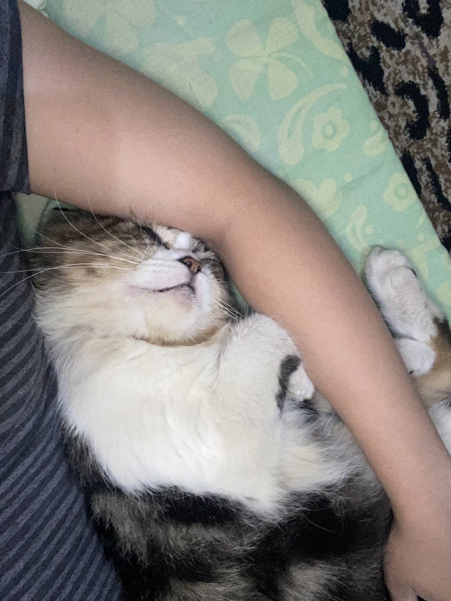 ervin4dl's tweet photo. ni serius gk ada lg yg nemenin ak tidur, gk ada yg nemenin ke jamban lg?? https://t.co/UbS3BQeLDp