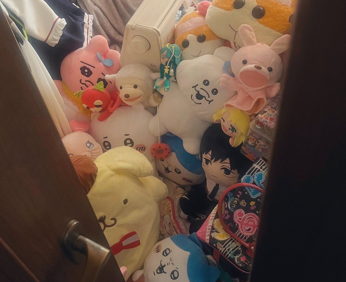 空き巣に入られたんだけど、大量のぬいぐるみで入口が埋まってて半分しかドア開けれないおかげで、部屋の前まで来てた泥棒と鉢合わせせずに済んだのヤバすぎる。コイツらに命救われた