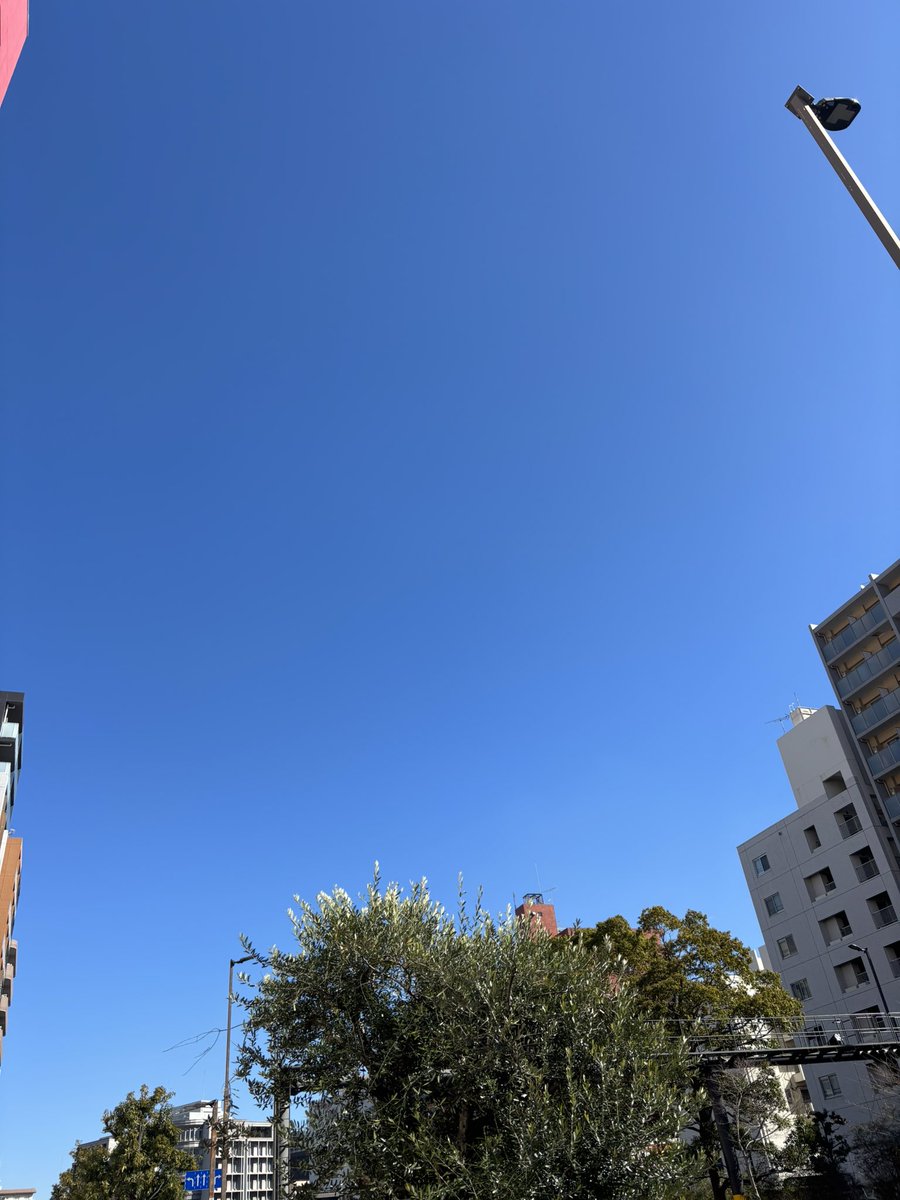 おはようございます😄

今日の川崎市の天気は、ほぼ晴れ☀️

今朝は風が冷たく寒いです😵

暖かくして体調を崩さないように気をつけて、今日も一日頑張っていきましょう🧣

#企業公式が毎朝地元の天気を言い合う 
#企業公式相互フォロー
#企業公式冬のフォロー祭り
#就労移行 #就労継続支援B型 #川崎
