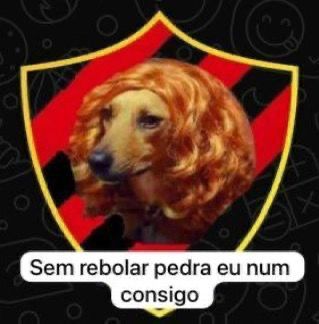Rixsck's tweet photo. @Labandeirascr O time vcs é horrível, vão cair faltando umas 10 rodadas. https://t.co/aNB6bYnuhs