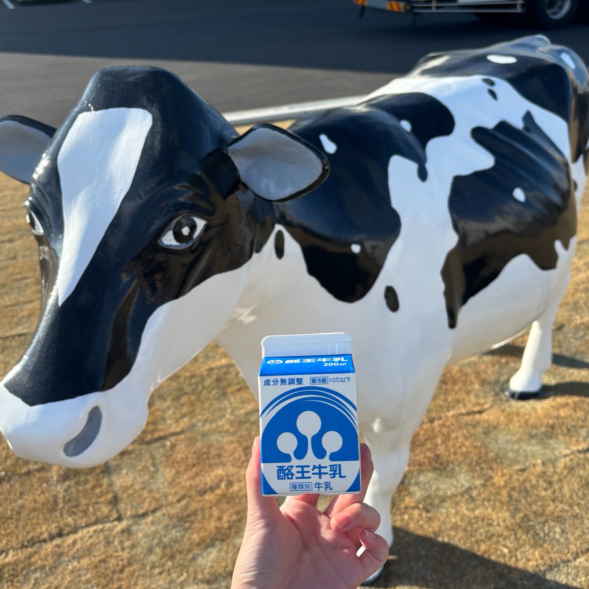 酪王協同乳業新棟には 牛🐄のオブジェが…！✨ 牛の模様が一部 福島県に