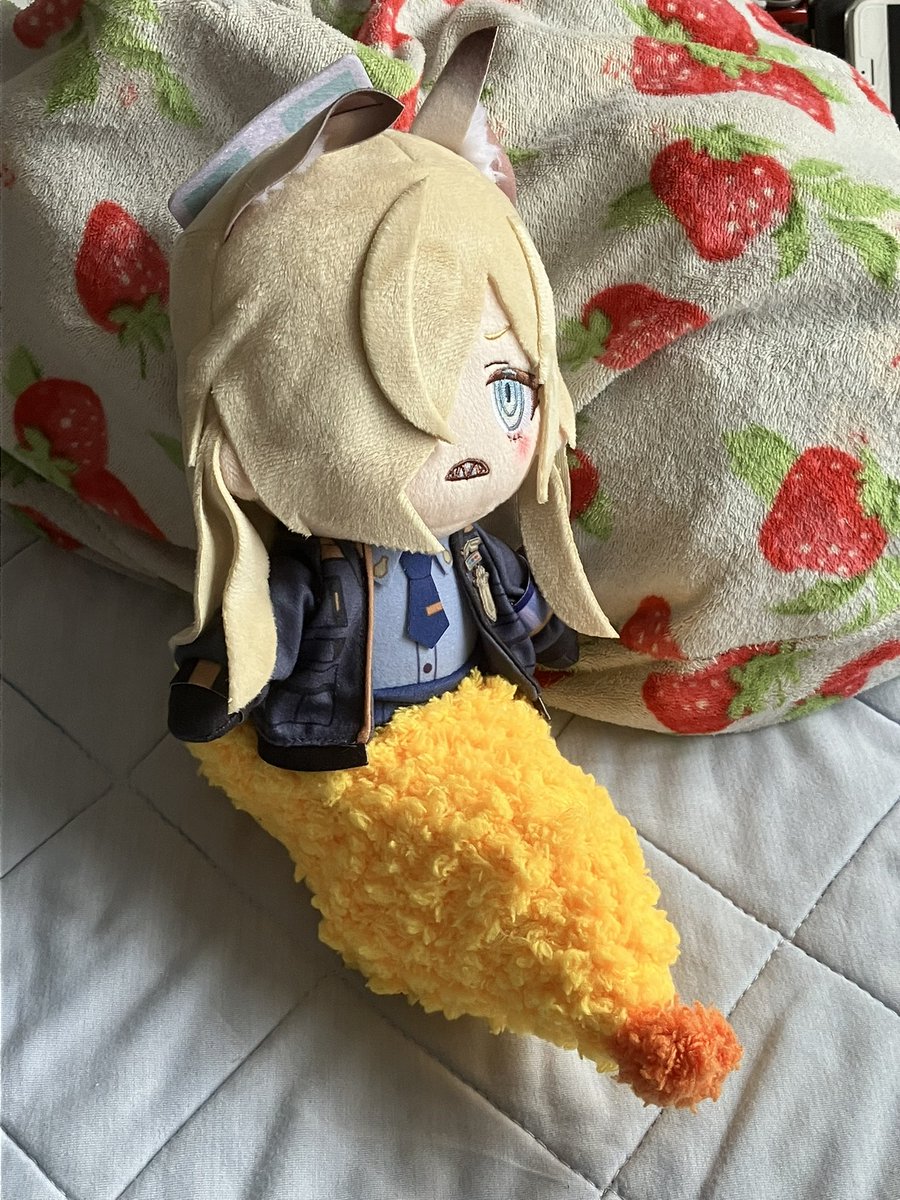 jgmtgamp's tweet photo. サイズ間違えて買っちゃってカンナがメガスピアーみたいになっちゃった https://t.co/n4zJNQTZyD