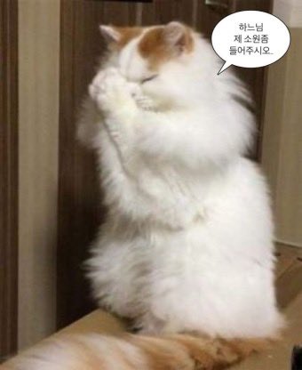 두찜 시키는데 배달비가 만원이라 많이 못 시킴.. 우울해ㅜㅜ 덕질은 역시 돈이 많이 필요해.