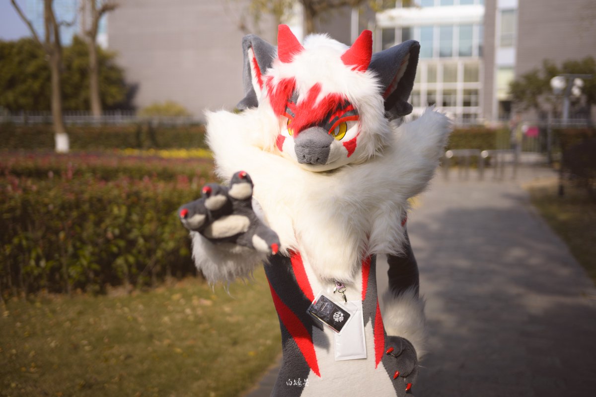 腰精！
#FursuitsEveryday