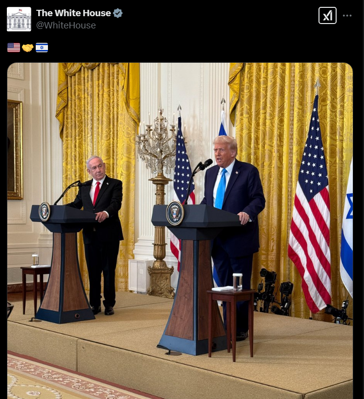 SocratesFinch's tweet photo. @stevenschub You were saying? https://t.co/F9yxyPkxu8