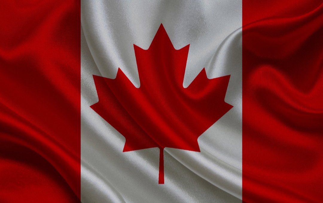 AdjecentAngel's tweet photo. @realDonaldTrump 🇨🇦🇨🇦🇨🇦🇨🇦🇨🇦 https://t.co/KbJBYAX4Fx