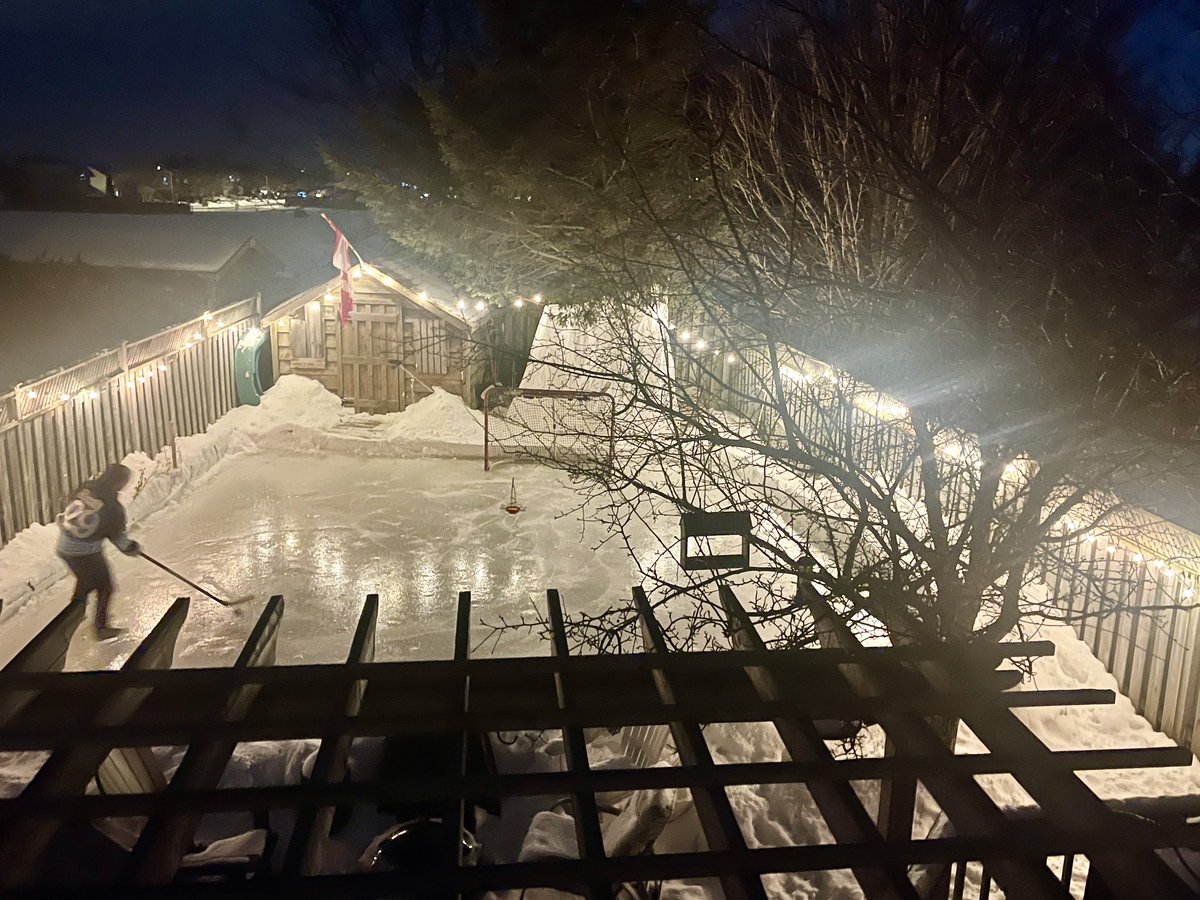 Tuesday Night Lights. <a href="/RinkWatchOrg/">RinkWatch</a> <a href="/backyrdicerinks/">Backyard Ice Rinks Community</a> <a href="/OutdoorRinks2/">Kitchener Outdoor Rinks</a>