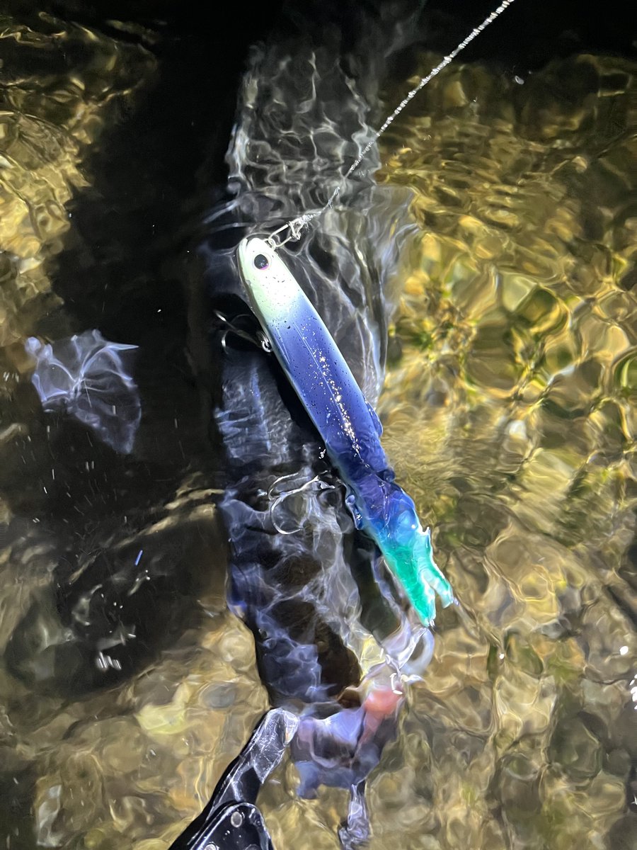 Angler_k11's tweet image. シェリー125SS fimoオリカラ販売👀
今回は抽選販売となります。

【抽選受付期間】
2月5日（水）12時 ～ 2月12日（水）12時まで。
【当選連絡】
2月中旬頃を予定。

詳しくはこちら⤵︎
🔥fimosw.com/u/admin/zd3jnh…🔥

#fimoショップ
#シェリー125SS