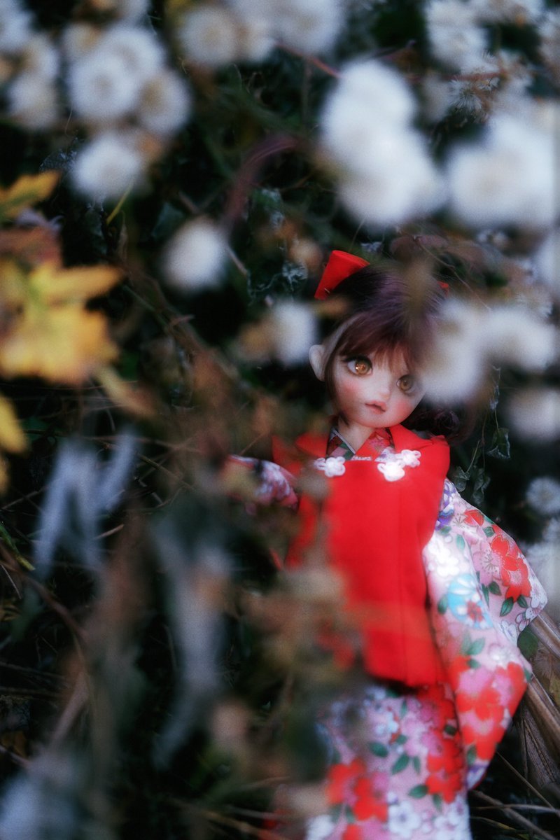 chibipinecone's tweet photo. 神隠し少女
volks 真霧
#うちの子かわいい 
#volks https://t.co/D8dedTNlyU