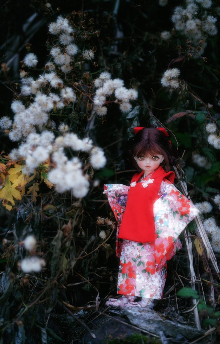 chibipinecone's tweet photo. 神隠し少女
volks 真霧
#うちの子かわいい 
#volks https://t.co/D8dedTNlyU