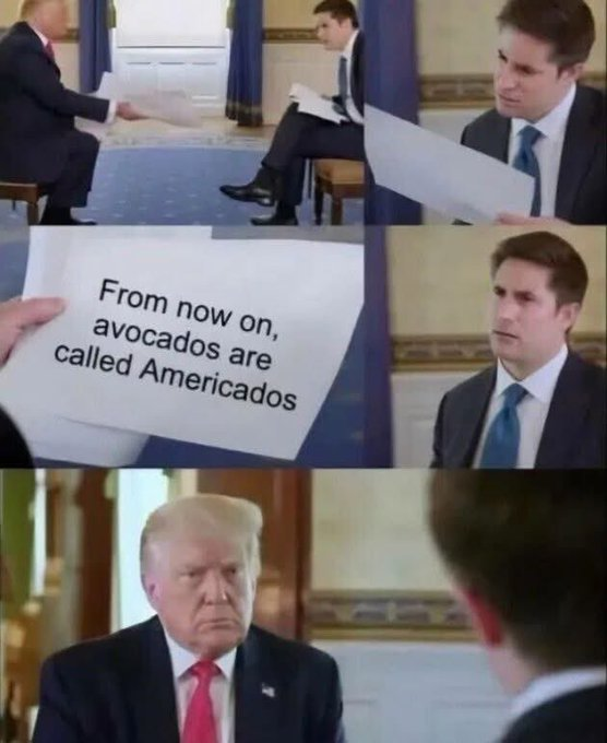🤣🤣🤣