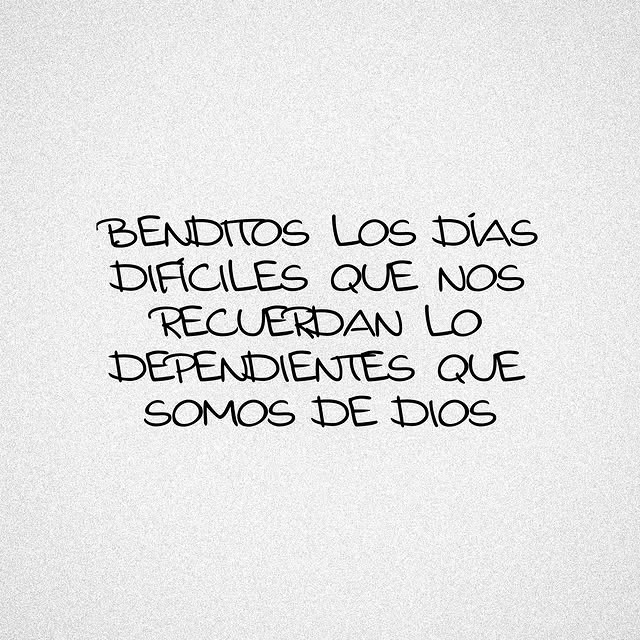 el Siervo tweet media