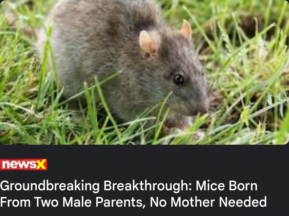 dailyupdates04's tweet image. Groundbreaking Breakthrough: Mice Born From Two Male Parents, No Mother Needed

#ReproductiveScience