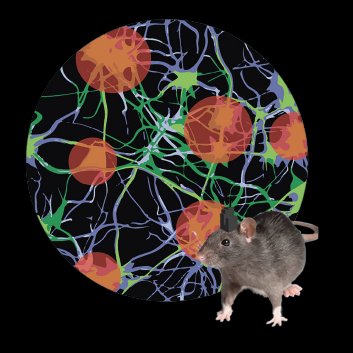 Scitech Imaging & Optical Solutions (@scitechptyltd) on Twitter photo Attending <a href="/OptogeneticsAus/">Optogenetics Australia</a> 6-7th Feb <a href="/KollingINST/">Kolling Institute</a> ?
Visit SciTech to learn about <a href="/mightexsystems/">Mightex</a> imaging & #optogenetics technologies such as the Polygon Illuminators, #InVivoImaging & Stimulation, #OASISimplant #OASISmacro #OASISmicro
#calciumimaging
📷scitech.com.au/illumination-l… Attending <a href="/OptogeneticsAus/">Optogenetics Australia</a> 6-7th Feb <a href="/KollingINST/">Kolling Institute</a> ?
Visit SciTech to learn about <a href="/mightexsystems/">Mightex</a> imaging & #optogenetics technologies such as the Polygon Illuminators, #InVivoImaging & Stimulation, #OASISimplant #OASISmacro #OASISmicro
#calciumimaging
📷scitech.com.au/illumination-l…
