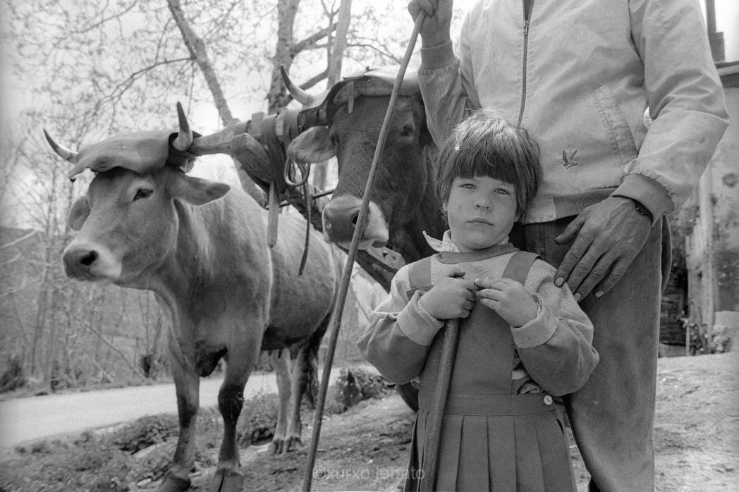 Foto da serie “Galicia terra nai” Nena co seu pai no Courel , anos 90 seculo  XX #niña #vaca #galicia #rural