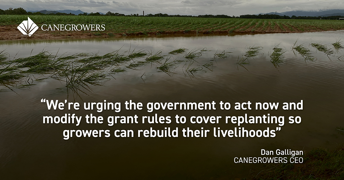 QLD Gov Must Prioritise Replanting in Disaster Recovery 
When disasters strike, recovery grants are essential for growers to clean up and rebuild. But the real goal is getting businesses back on track, and in farming that means crops back in the ground. 
In other states, farmers