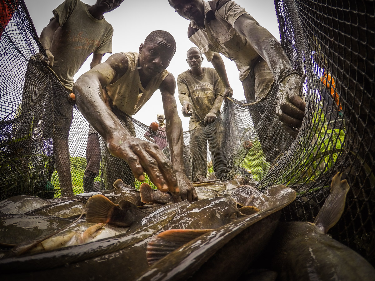Mwangi Kirubi tweet media