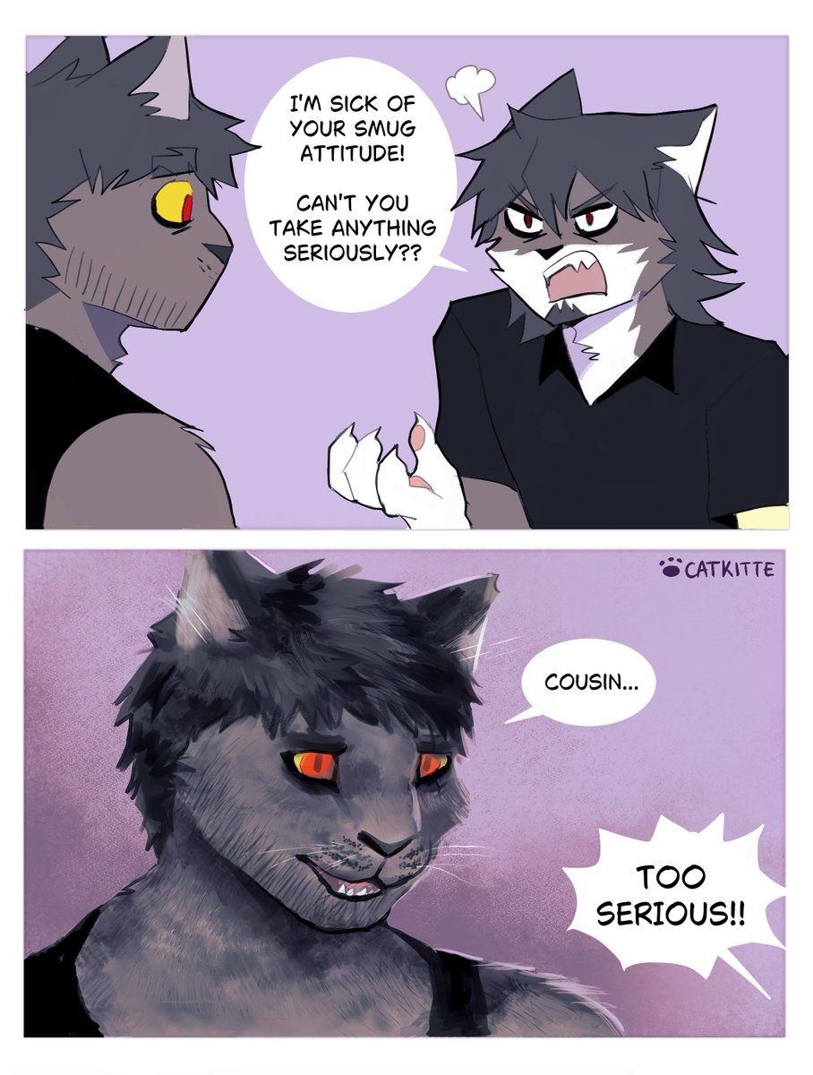 CatKitte 🐾 tweet media