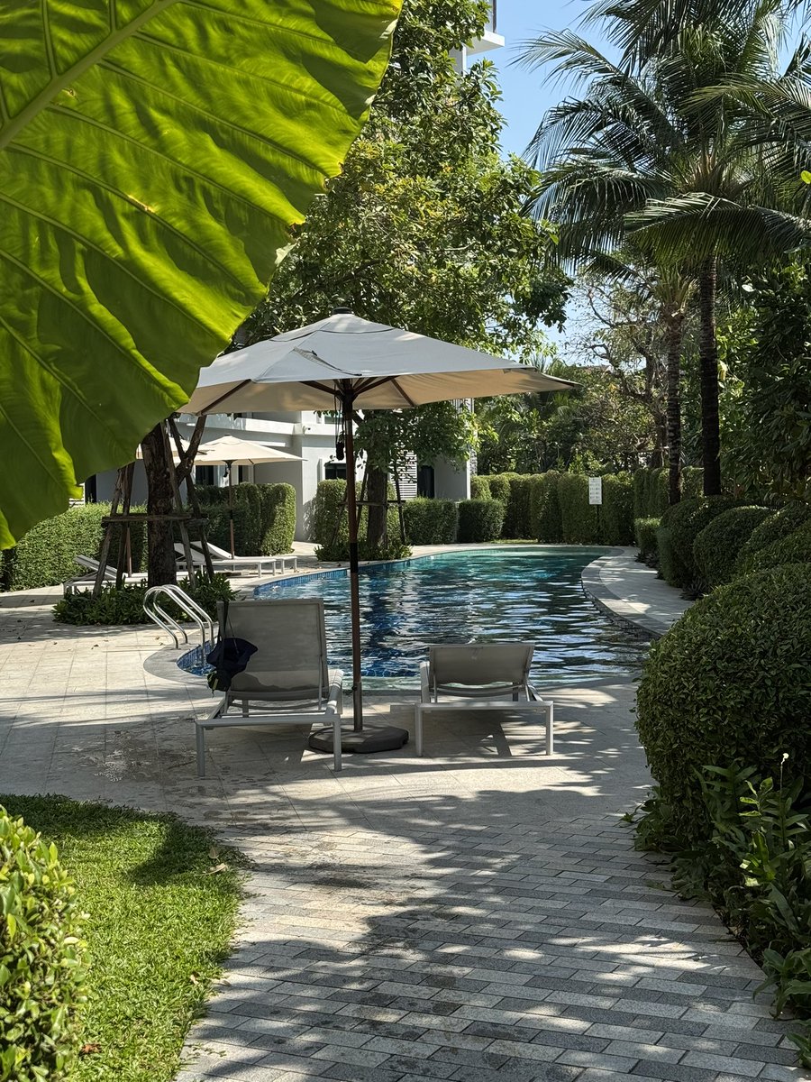 max_zaichenko's tweet photo. Some Thai vibe 🇹🇭 https://t.co/ZTeJSvc4pZ