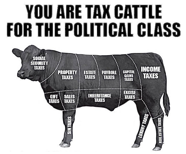 BlueGr33n13's tweet image. Mandatory taxation is slavery.