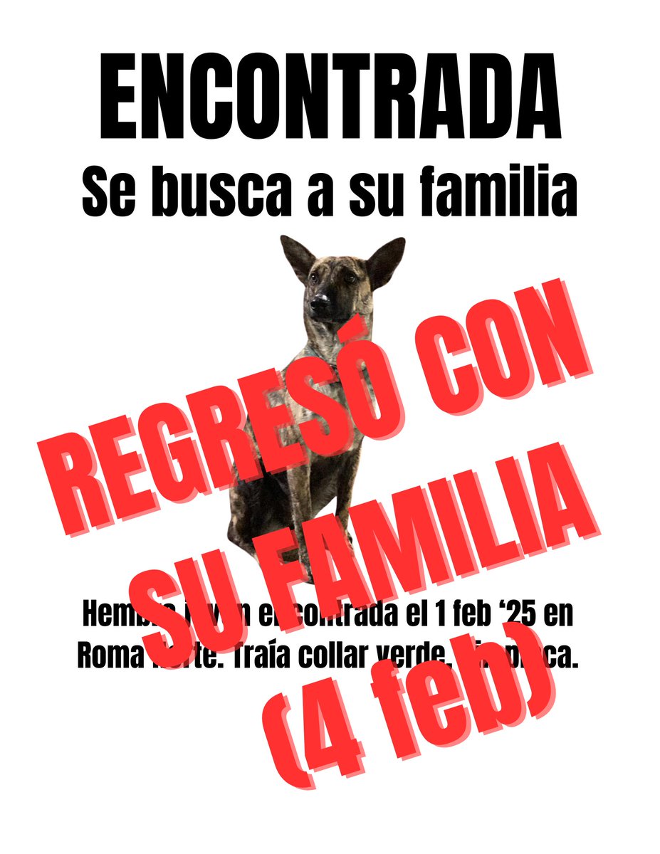 Sof J. Poiré 🐧 sof_jp en IG tweet media