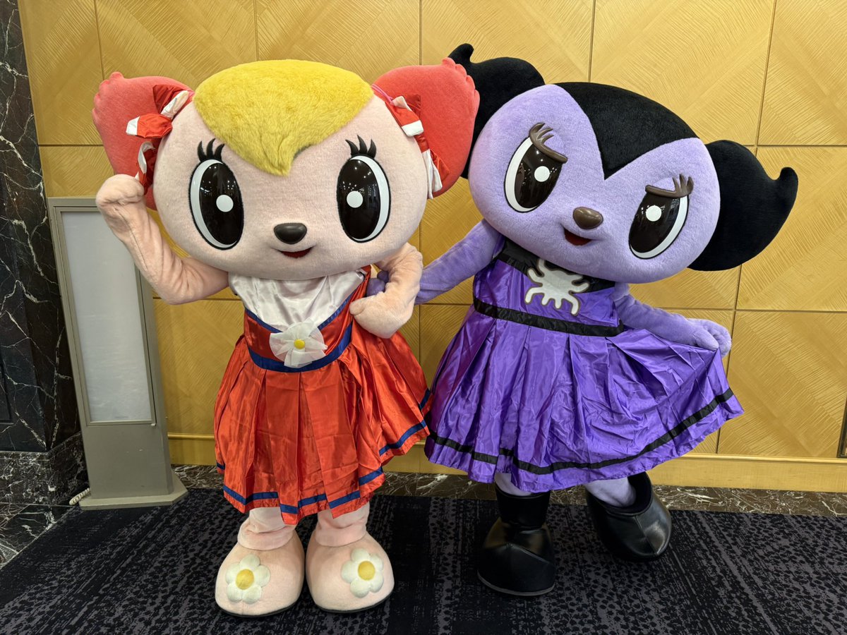 mollyfantasy_of's tweet photo. 今日はララちゃんとウララちゃんと一緒にいます（ペアグリ嬉しい） https://t.co/rcb2Ee9pPH