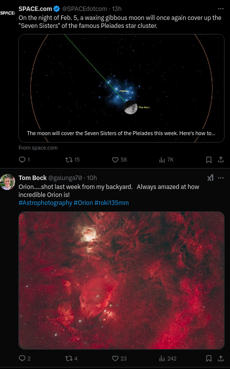 MemeParkman's tweet image. Orion still chasing them, tho. Or not idc. #ThatWasToBeExpected #astronomy #AlgorithmWorld