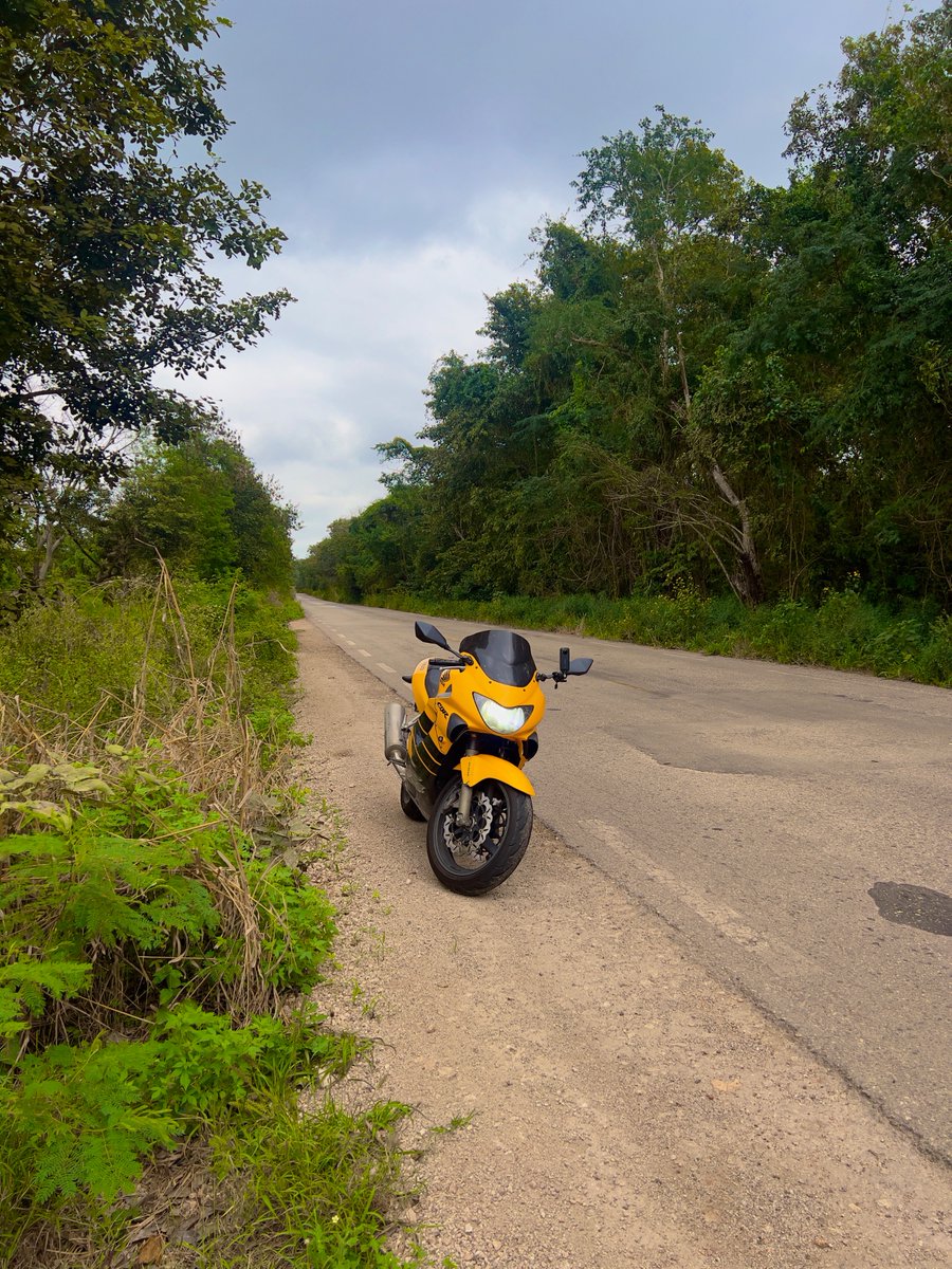 Strawberry Toob tweet media