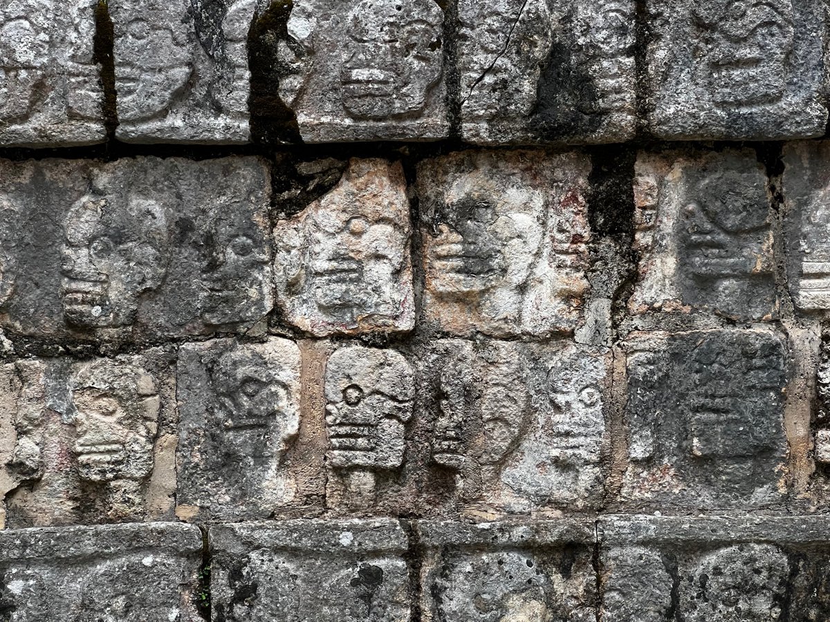 Strawberry Toob tweet media