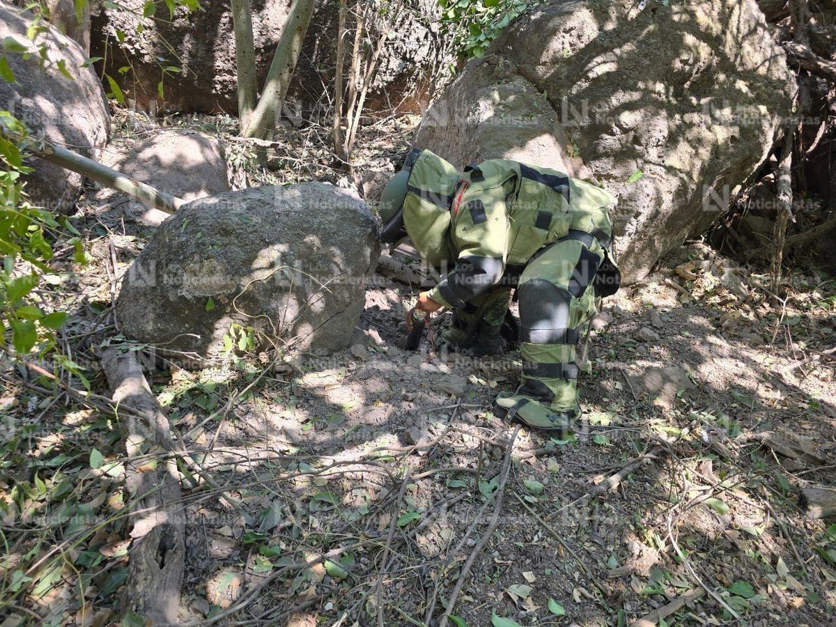 SoldadoBatallas's tweet photo. 🚨🚔 Personal Militar de la Célula Contra Artefactos Explosivos decomisaron y desactivaron un total de 49 artefactos explosivos improvisados para dron y casi 90 'recargas'🧨, en los limites de la sierra de #Sinaloa y #Durango 🪖
@SEDENAmx @GN_MEXICO_ https://t.co/kCaB35cf8Y