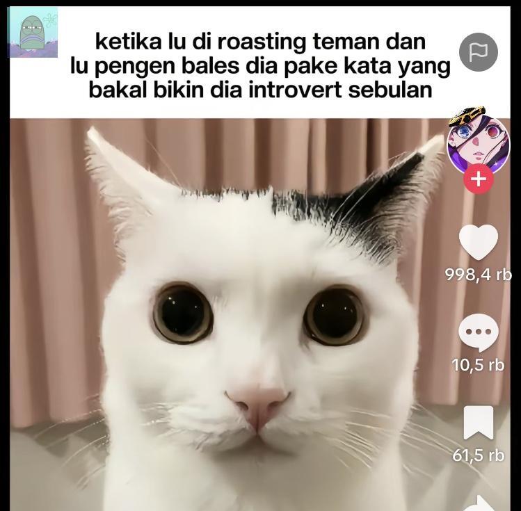 Tanyarl 💚 tweet media