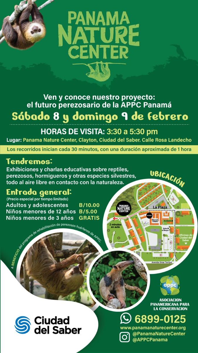 Abiertos este Sábado 8 y Domingo 9 de febrero de 3:30 a 5:30 pm 
Te esperamos 👉 calle Rosa Landecho / Ciudad del Saber #panamanaturecenter
