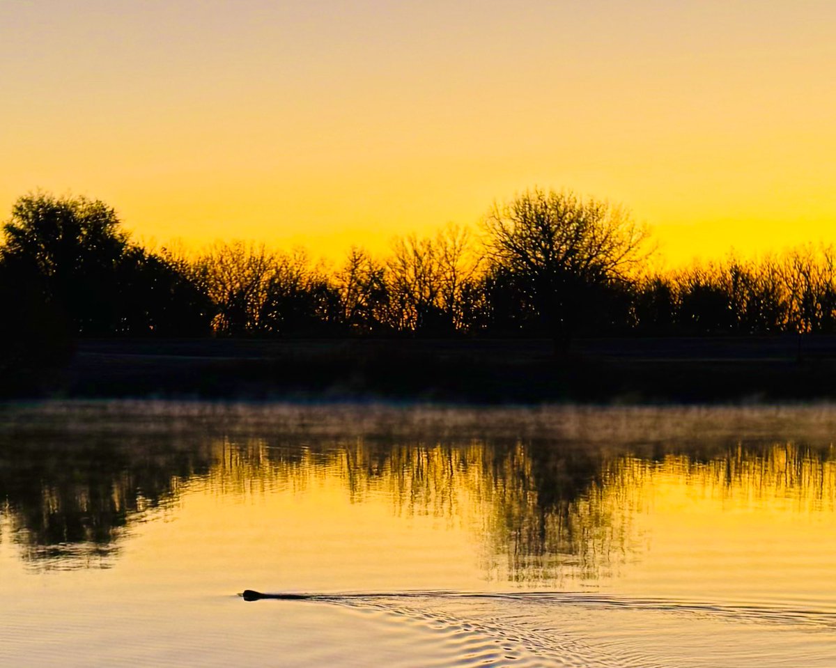 DMiller52325459's tweet image. Something simple yet beautiful