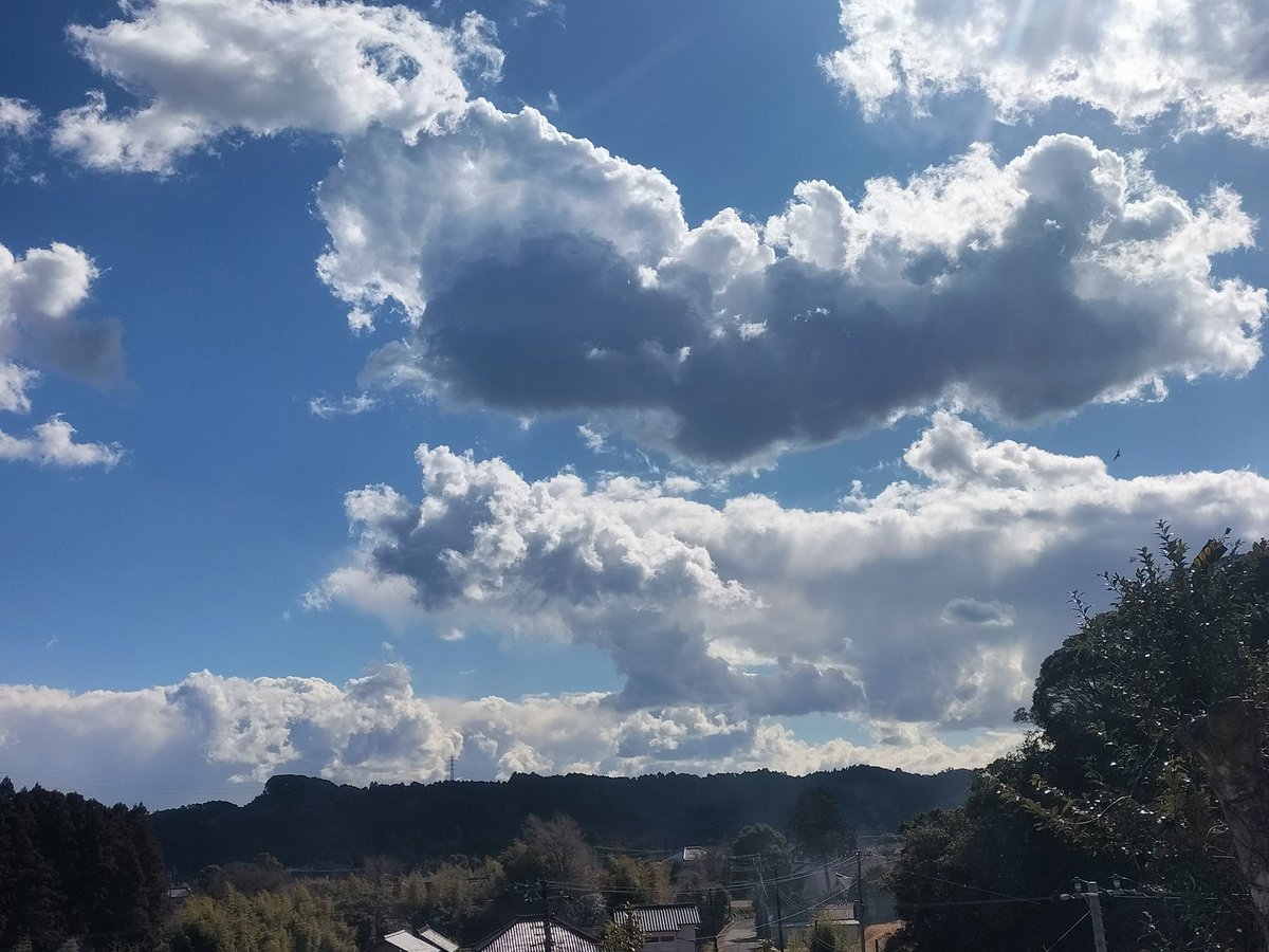 kaitakusya02's tweet photo. これが冬の雲？
#田舎暮らし　#散歩　#移住　#房総半島　#定年退職　#家庭菜園　#ウォーキング　#林道 　#花　#いい空気　#二拠点生活　#開拓　#開墾 https://t.co/oKqR75qHN3