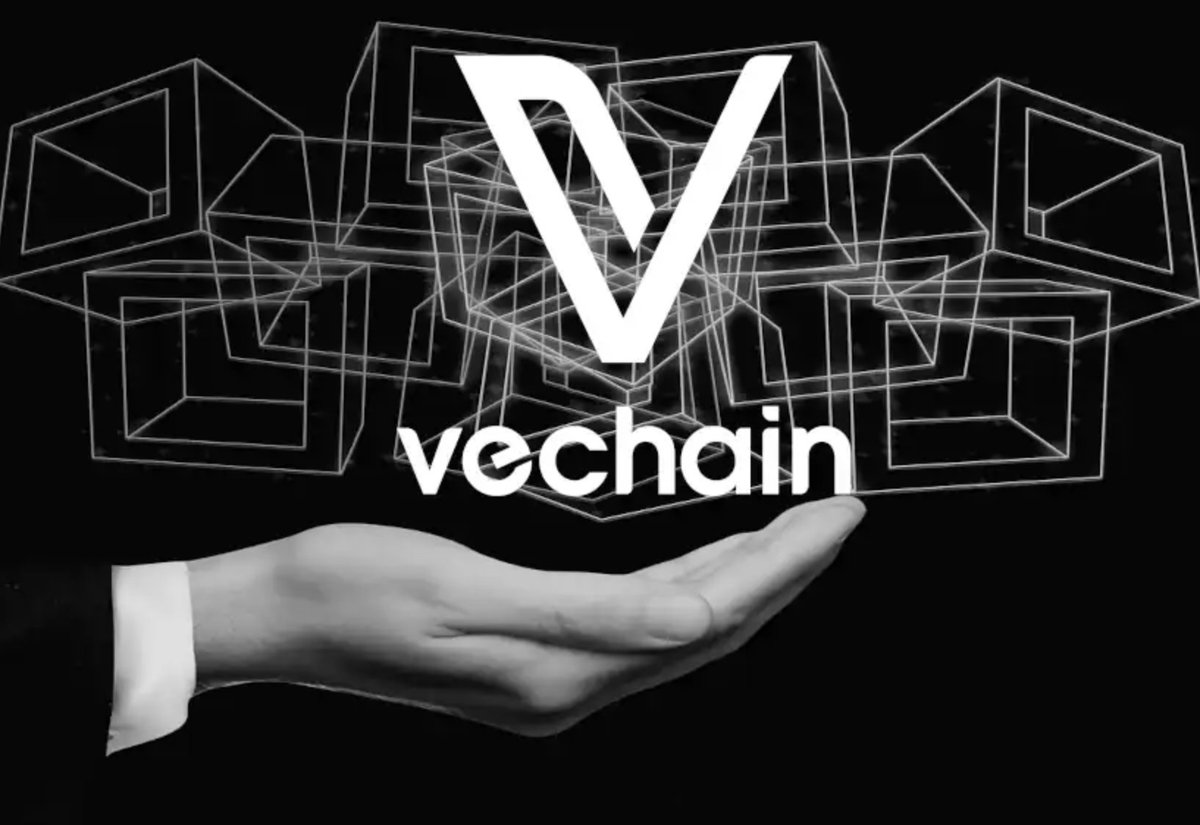 00711Crypto's tweet image. #VeChain is stepping up its game in sustainability with #blockchain, #AI, and #GreenTech. Through its #DeBAN initiative, it's mixing blockchain with regenerative finance #ReFi to push for real eco-friendly change. 
With the tokenized sustainability market set to hit $16 trillion