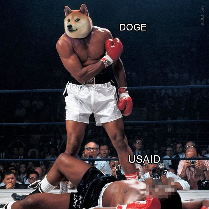 D.O.G.E. Memecoin tweet media