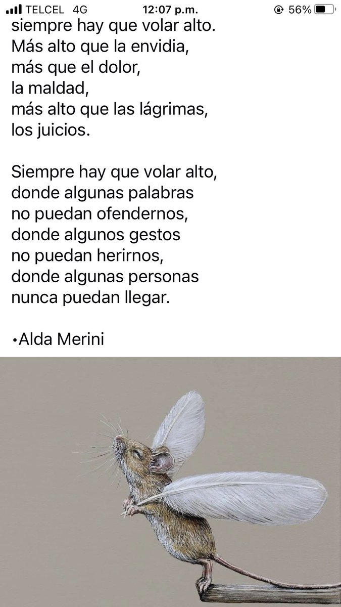 alys_ada tweet picture