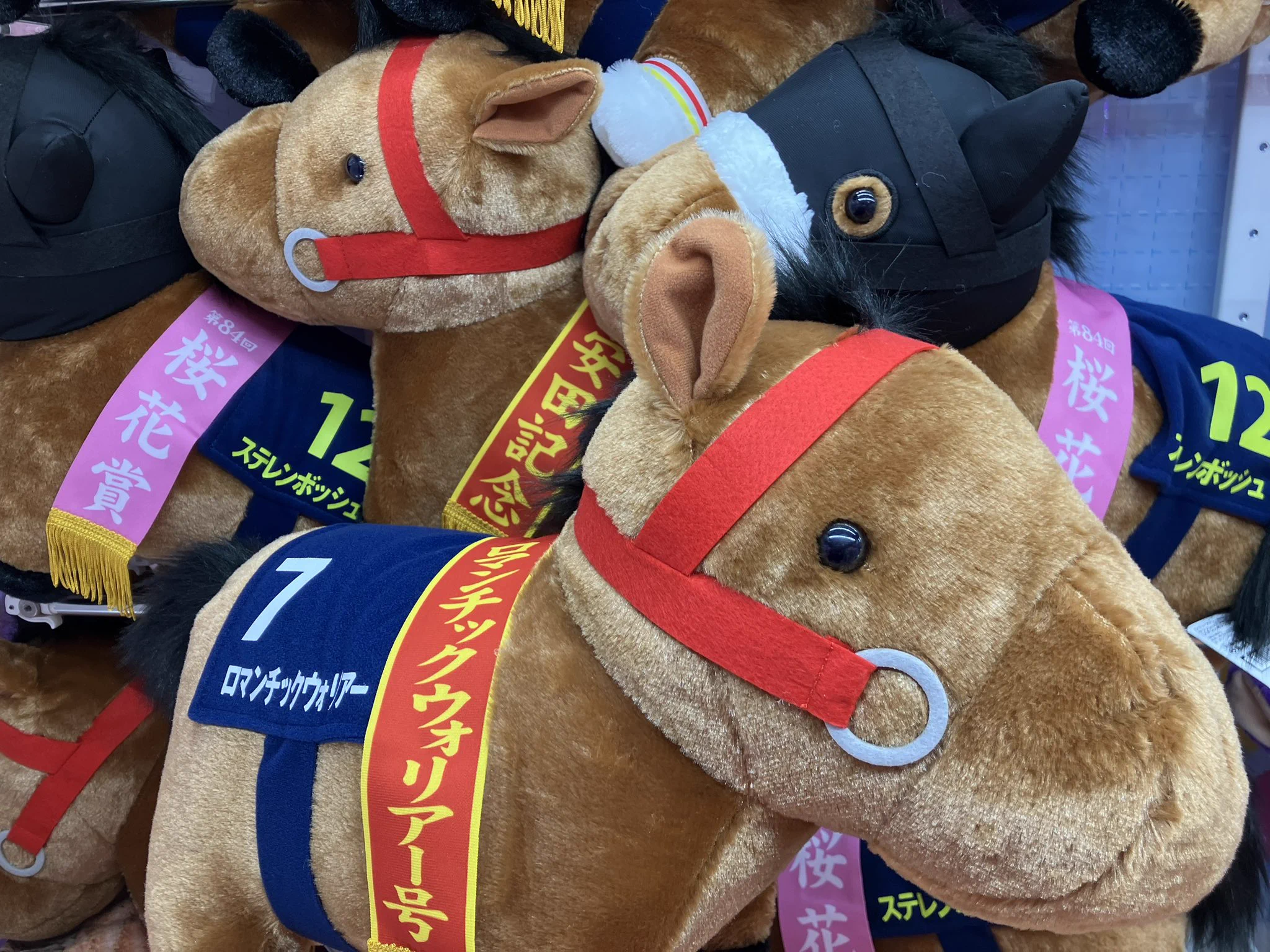 タイステ 柏店 på X: 