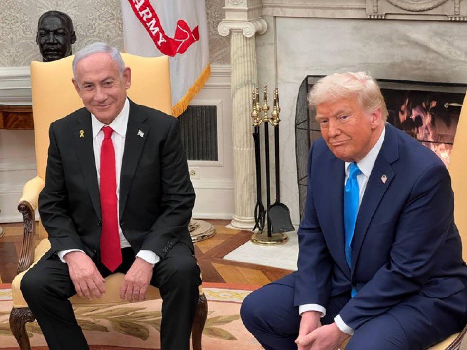 Vivid.🇮🇱 tweet media