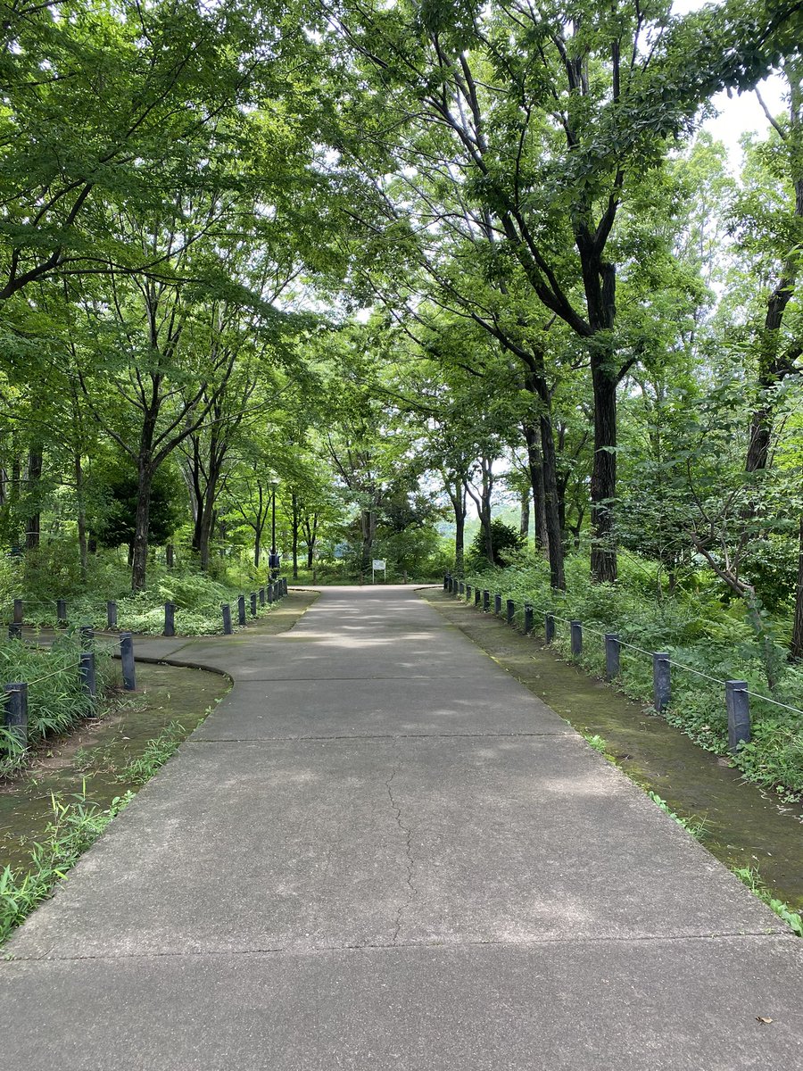 ayako_oto's tweet photo. 今年はどこか
和の空間でも個展ができたらいいな。 

木が多いところとか。

近所には美味しいお店とか
カフェとかもあって。 https://t.co/FBVfYKaoTJ