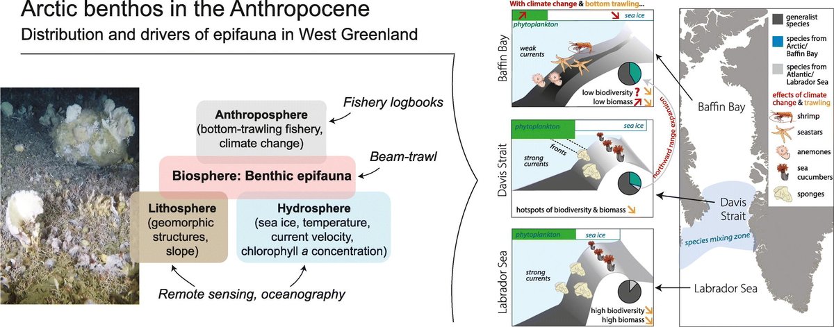 Dr. Sandra Maier tweet media